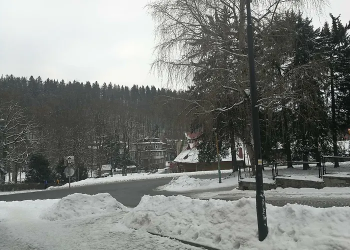 Parkowy Apartment Duszniki Zdroj